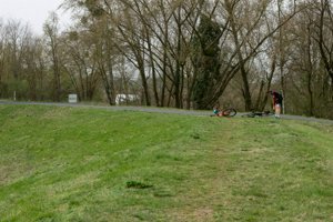 IMG_7431.jpg