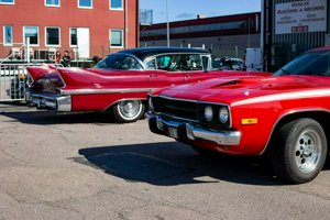 IMG_7083.jpg