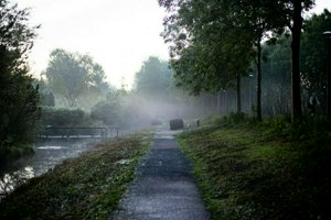 IMG_2045.jpg