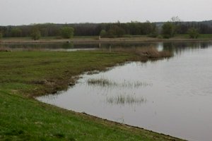 IMG_7414.jpg