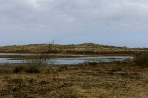 IMG_5919.jpg