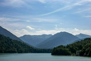IMG_5179.jpg