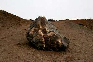 IMG_9653.jpg