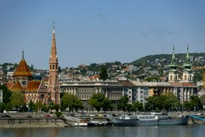 IMG_3224.jpg