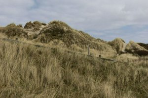 IMG_5949.jpg