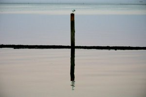 IMG_6474.jpg