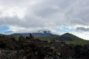 IMG_5603.jpg