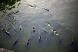 IMG_8194.jpg