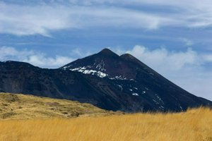 IMG_9424.jpg