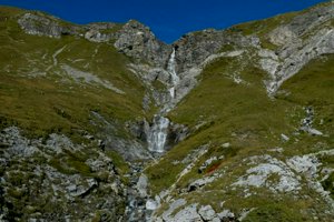 IMG_1952.jpg
