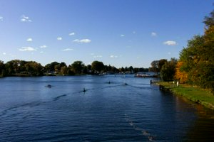 IMG_0917.jpg