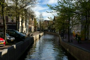 IMG_0929.jpg