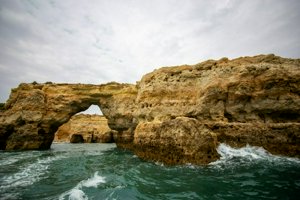 IMG_6570.jpg