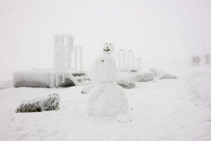 IMG_2881.jpg