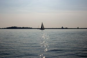 IMG_0097.jpg