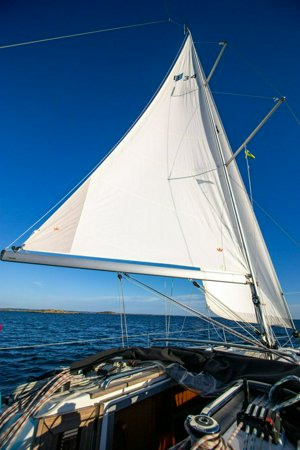 IMG_7259.jpg