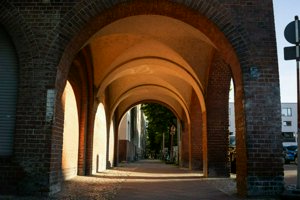 IMG_6217.jpg