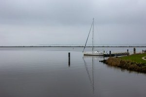 IMG_8989.jpg