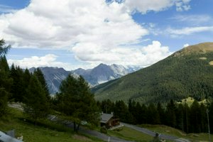 IMG_0742.jpg