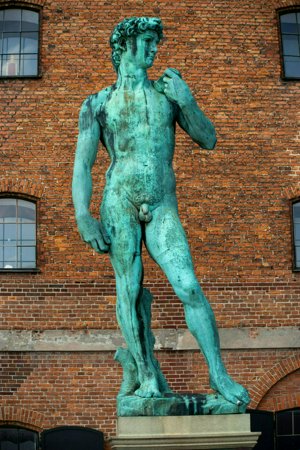 IMG_8421.jpg