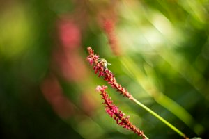 IMG_3908.jpg
