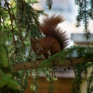 IMG_8990-Улучшено-NR.jpg
