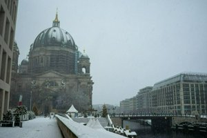 IMG_0338.jpg