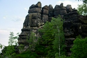 IMG_1282.jpg