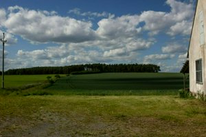IMG_9114.jpg