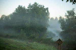 IMG_2062.jpg