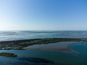 DJI_0598.jpg