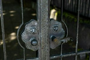 IMG_3836.jpg