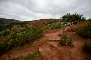 IMG_2873.jpg