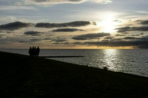 IMG_2323.jpg