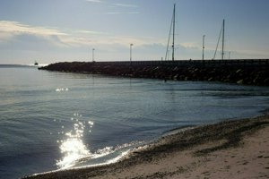 IMG_7330.jpg