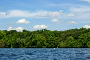 IMG_7625.jpg