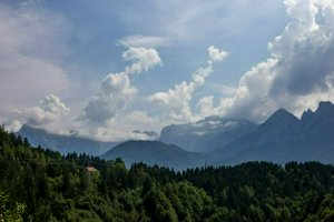IMG_6803.jpg
