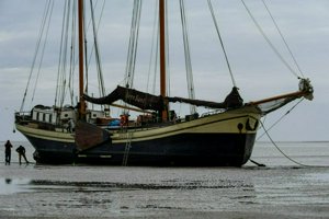 IMG_7852.jpg