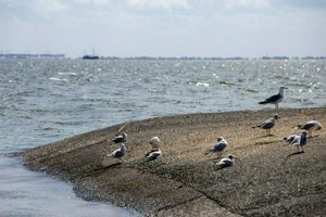IMG_6731.jpg