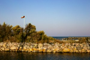 IMG_8774.jpg