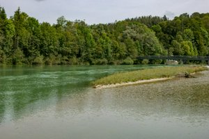 IMG_5099.jpg