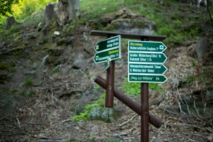 IMG_1169.jpg