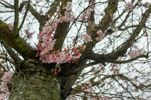 IMG_8516.jpg