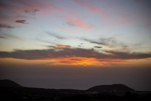 IMG_3740.jpg