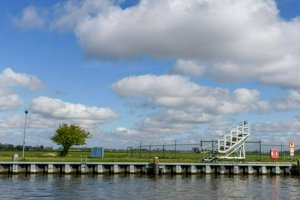 IMG_1152.jpg