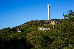 IMG_7392.jpg