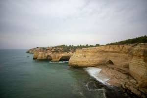 IMG_6893.jpg