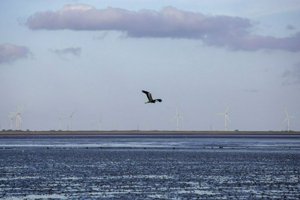 IMG_6884.jpg