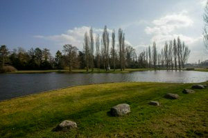 IMG_7421.jpg