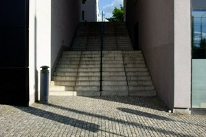 IMG_9250.jpg
